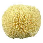 Prime Sea Wool Sponge