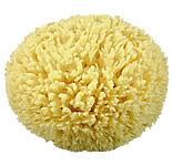 Rock Island Sea Wool Sponge