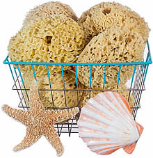 Naroa Soft Natural Sponge | Gentle Sea Sponge for Bathing Healthy Skin |  Unbleached Shower Body Scrubber Puff | Eco Friendly Bath Spa Sponge (Soft 