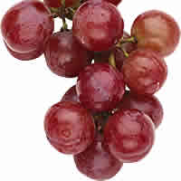 Grape juice polyphenols