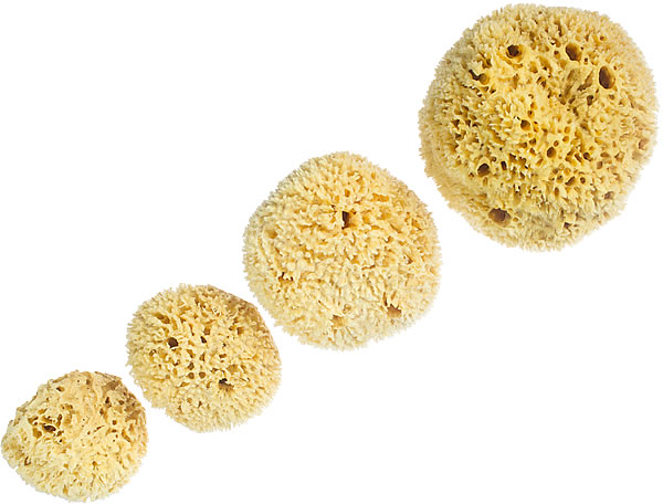 HartFelt Delicate Skin Wool Sea Sponge 4 in | Real Natural Sponges for  Body