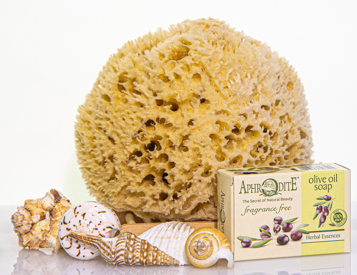 sea sponge for bathing, sea sponge for bathing Suppliers and