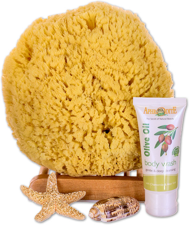 SeaSationals™ Natural Yellow Sea Sponge Bath Kits