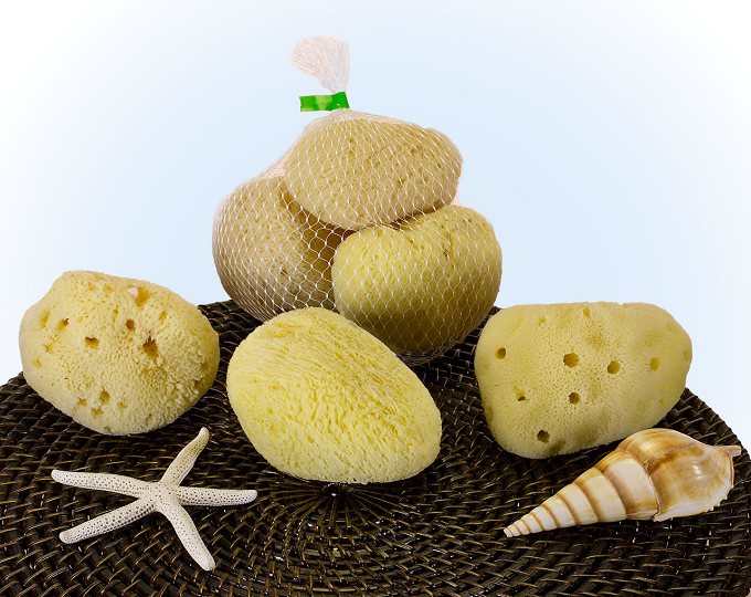 Silk Bath Cut Sponges-3-51 Piece-natural Sea Sponges-deep Sea