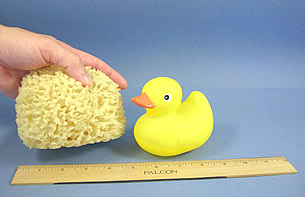 Premium Wool Sea Sponges for Babies