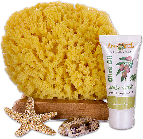 SeaSationals™ Natural Yellow Sea Sponge Bath Kits