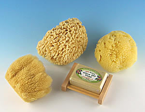 SeaSationals® Natural Wool Sea Sponge Bath Kits
