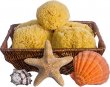 Yellow Sea Sponges - Mildly Exfoliating Bath Sponge