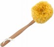 Caribbean Grass Sponge Brush