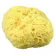 Natural Yellow Sponges Craft Cuts