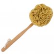 Wool Sea Sponge Bath Brush