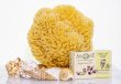 SeaSationals® Natural Yellow Sea Sponge Bath Kits