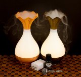 Aromatherapy Essential Oil Diffuser Starter Kits