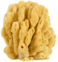 Bahamian 'Mangrove Key' Decor Sponge