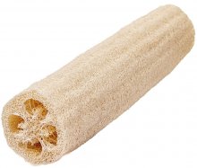 Common Loofah imported from South-East Asia