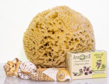 wool sea sponge bath kit
