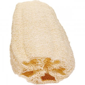 Egyptian Loofah front view