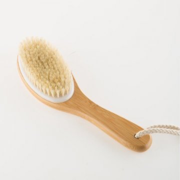 Curved Handle Dry & Wet Brush