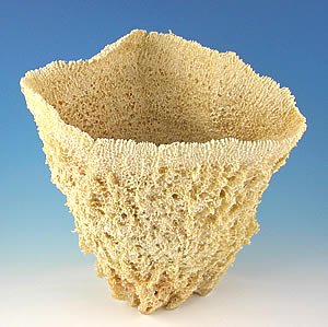 Wire Vase Sponge