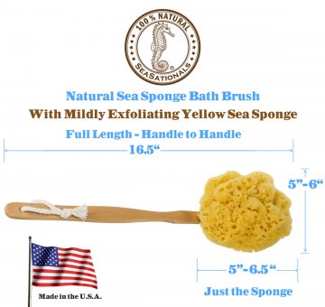 Yellow Sea Sponge Bath Brush measurements