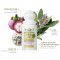 Aphrodite Roll-On Deodorant - Herbal Sage key ingredients