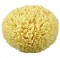 Premium Wool Craft Sponge Cuts